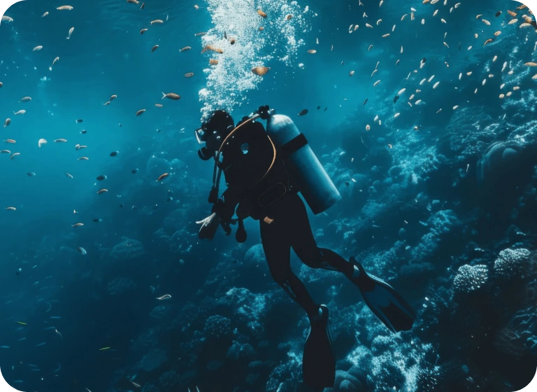 Новые услуги водолазных работ в Севастополе